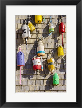 Framed Coastal Trappings II Print