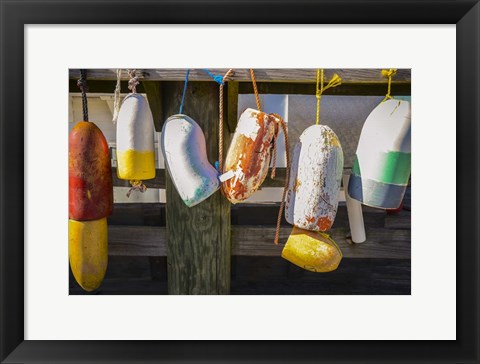 Framed Coastal Trappings III Print