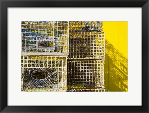 Framed Coastal Trappings IV Print