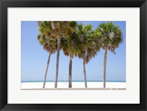 Framed Coastal Palms I Print