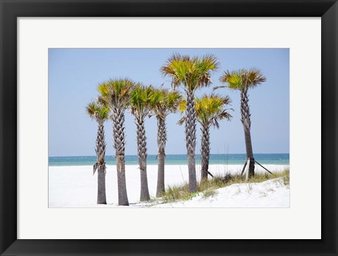 Framed Coastal Palms II Print