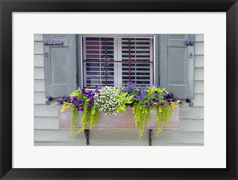 Framed Pastel Windows IV Print