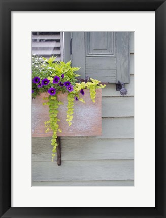 Framed Pastel Windows V Print