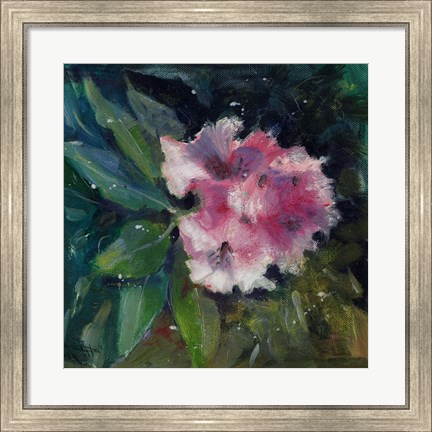 Framed Rhododendron Portrait II Print