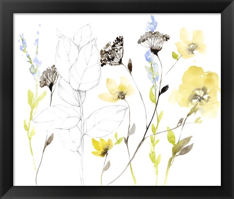 Framed Wild Flowers &amp; Contour I Print