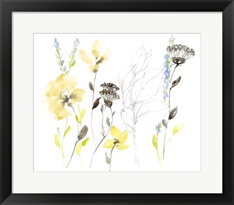 Framed Wild Flowers &amp; Contour II Print