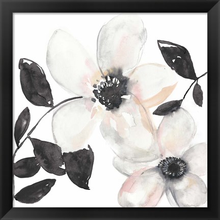 Framed Black &amp; Blush Anemone I Print