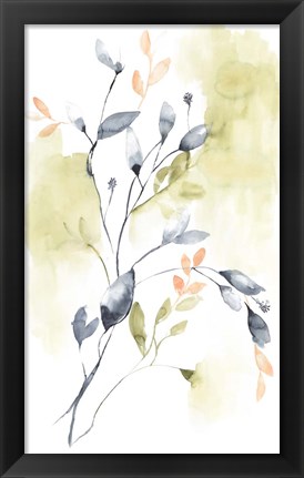 Framed Sweet Leaves II Print