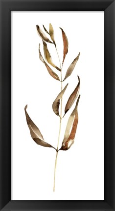 Framed Autumn Stem II Print