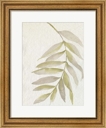 Framed Whispering Palm I Print