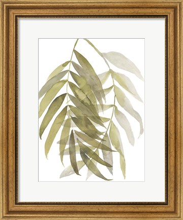 Framed Palm Embrace II Print