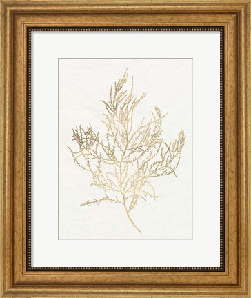 Framed Gilded Algae III Print