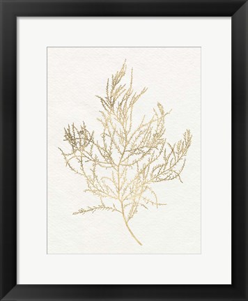 Framed Gilded Algae III Print