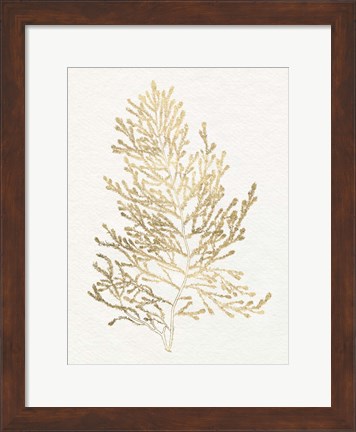 Framed Gilded Algae IV Print