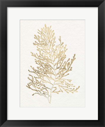 Framed Gilded Algae IV Print