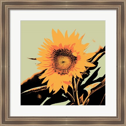 Framed Pop Art Sunflower II Print