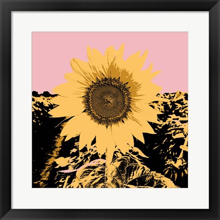 Framed Pop Art Sunflower III Print