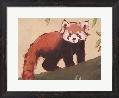 Framed Red Panda I Print