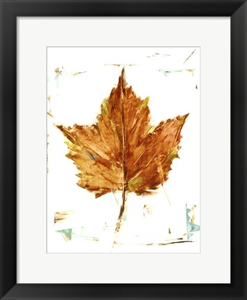 Framed Autumn Leaf Study I Print