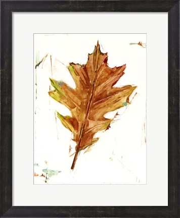 Framed Autumn Leaf Study II Print