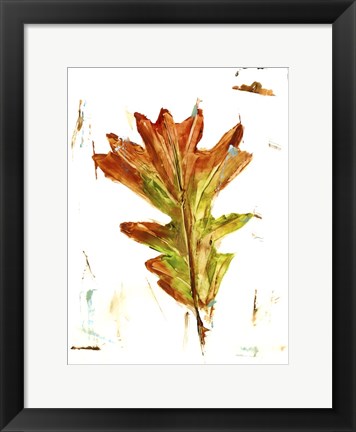 Framed Autumn Leaf Study IV Print