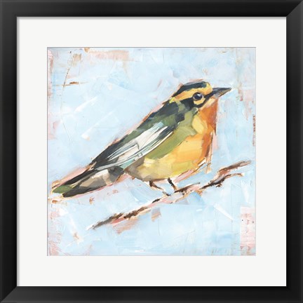 Framed Bird Variety IV Print