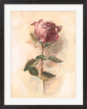 Framed Painterly Rose Study I Print