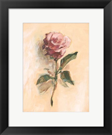 Framed Painterly Rose Study II Print