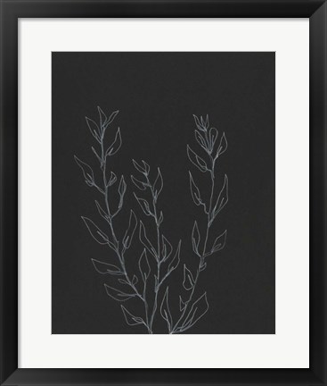 Framed Simple Stalk II Print