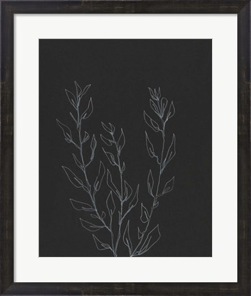 Framed Simple Stalk II Print