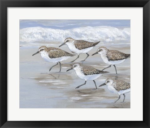 Framed Sandpipers I Print