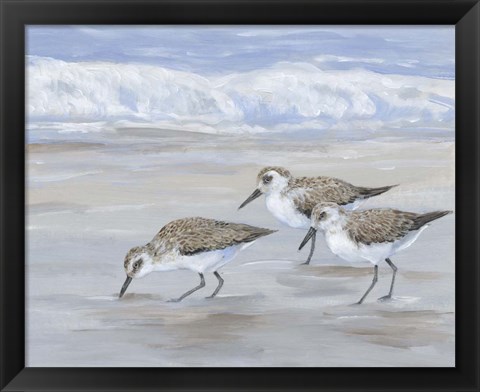 Framed Sandpipers II Print