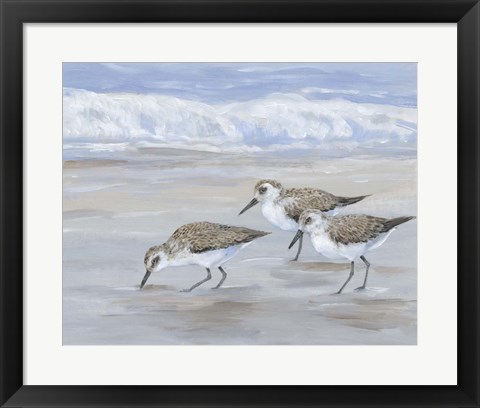 Framed Sandpipers II Print