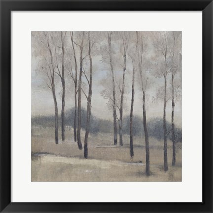 Framed Soft Light II Print