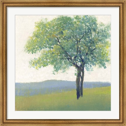 Framed Solitary Tree II Print