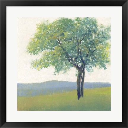 Framed Solitary Tree II Print