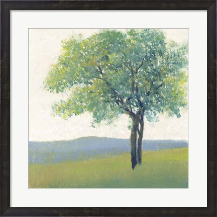 Framed Solitary Tree II Print