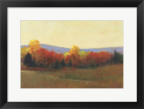 Framed Changing Colors II Print