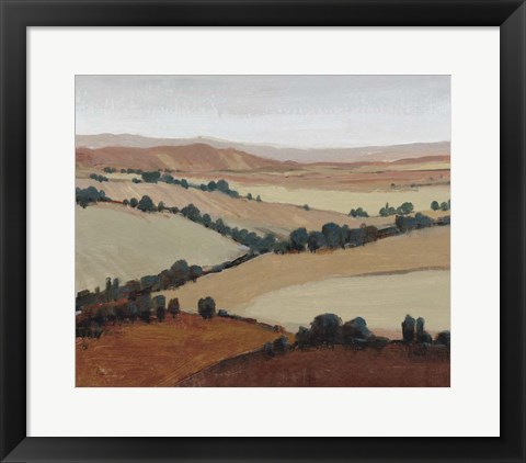 Framed Soaring View II Print