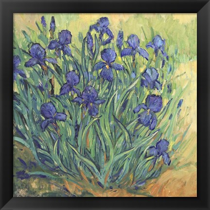 Framed Irises in Bloom II Print