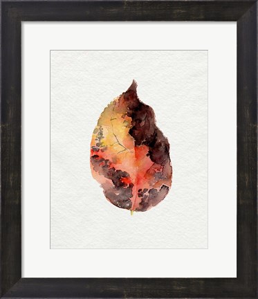 Framed Watercolor Autumn Leaf I Print