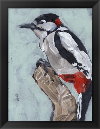 Framed Woodpecker Paintstrokes I Print