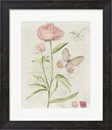 Framed Field Notes Florals II Print