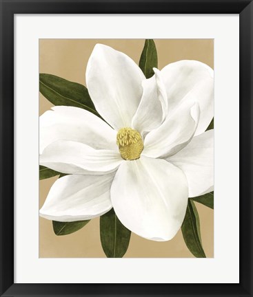 Framed Magnolia on Gold I Print