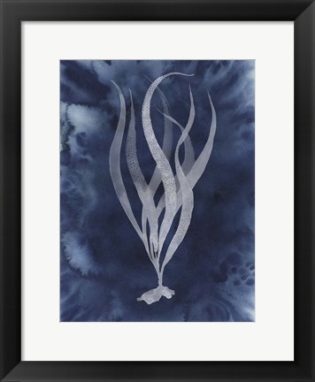 Framed Midnight Kelp I Print