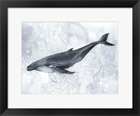 Framed Deep Diver I Print