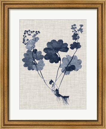 Framed Navy &amp; Linen Leaves IV Print