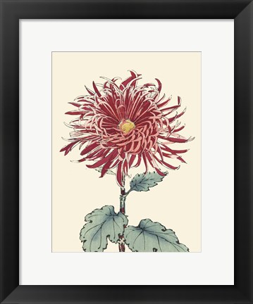 Framed Chrysanthemum Woodblock I Print