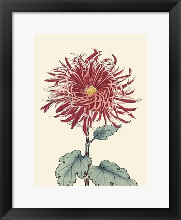 Framed Chrysanthemum Woodblock I Print