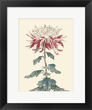 Framed Chrysanthemum Woodblock III Print